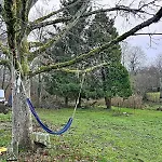L'oree - Le Calme De La Foret - 10 Min De Pierrefonds Saint-Jean-aux-Bois (Oise)
